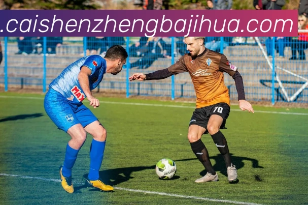 彩神争霸服务体系